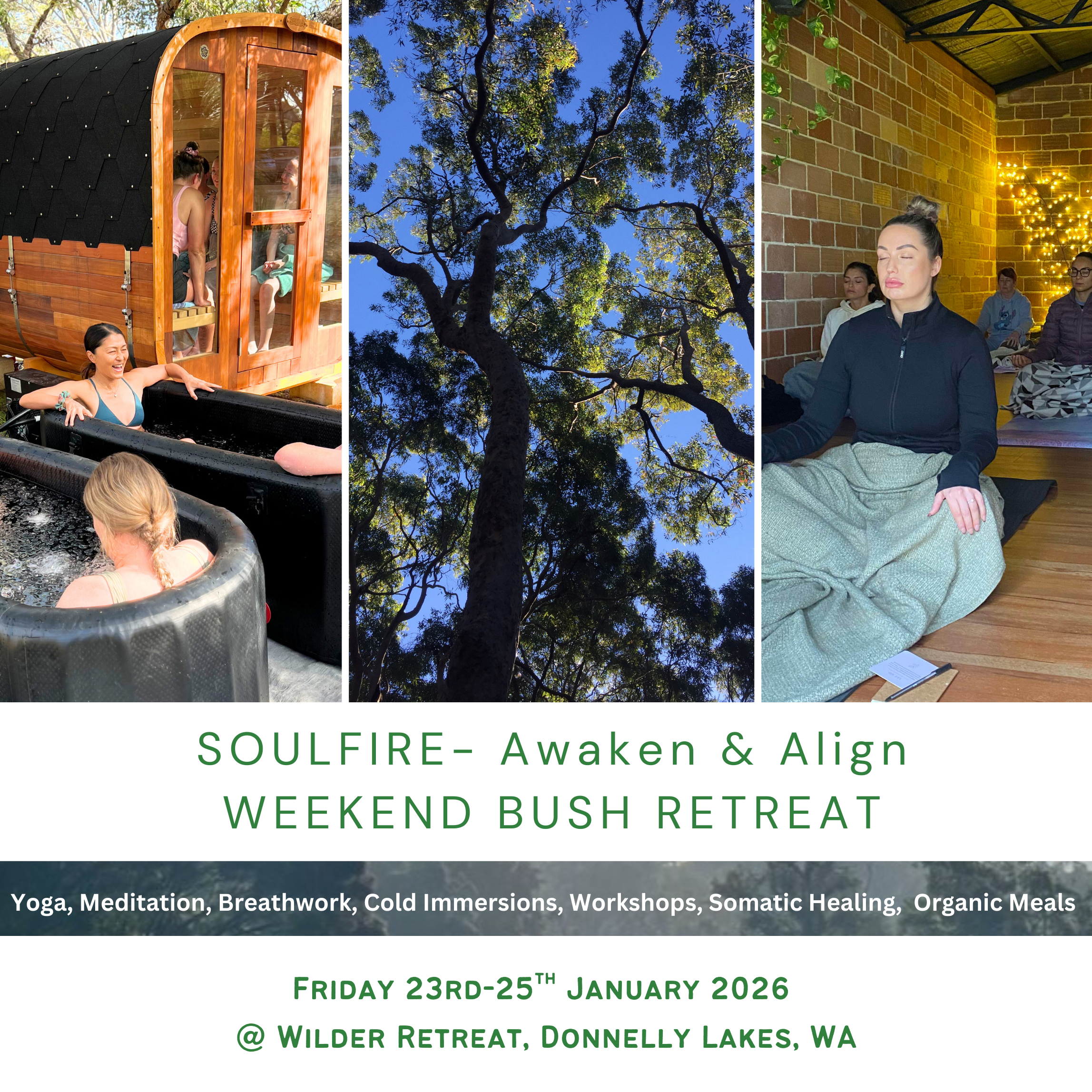 SOulfire awaken and align poster .png