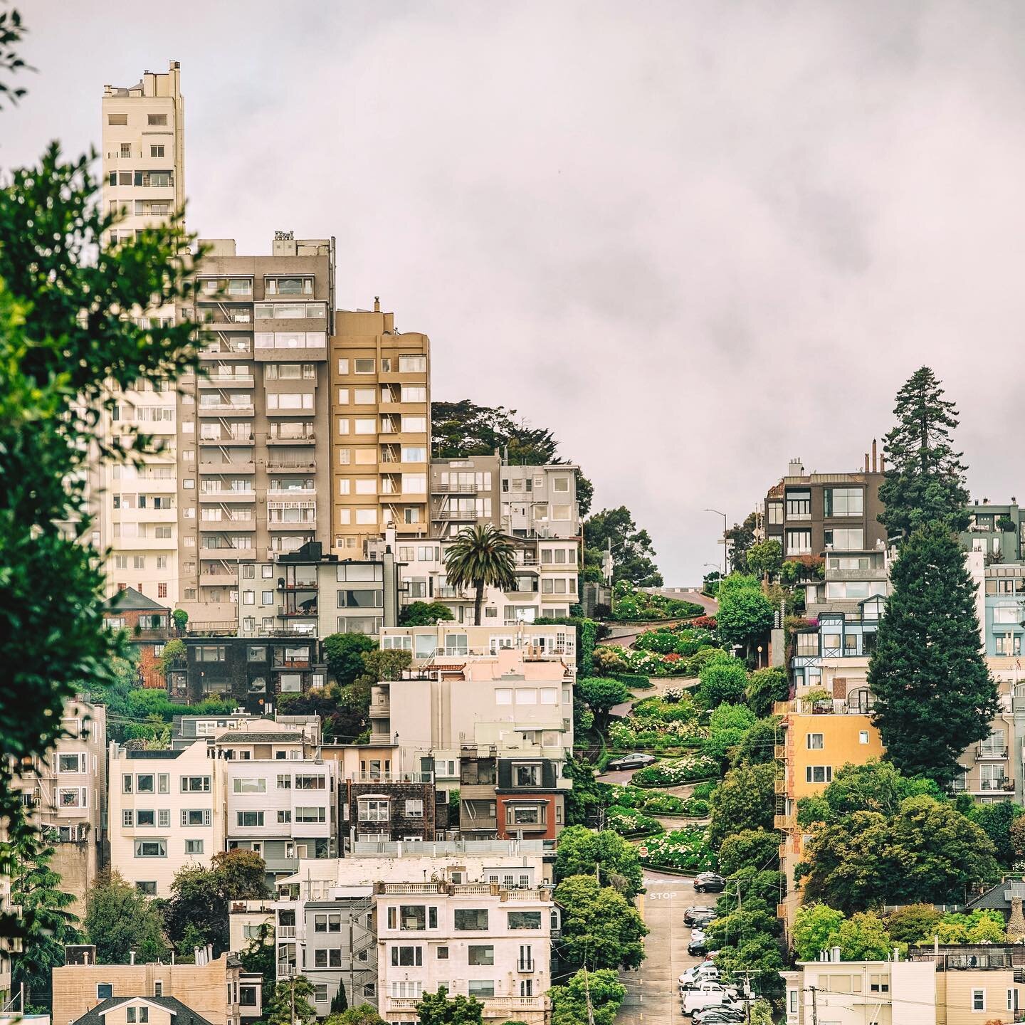 #lombardstreet on a slow cloudy day. That tall building on the left is one of my favorite in sf. Reminds me of the New York trend of super tall super skinny buildings. I believe each level is a 2br 2bath unit including fireplace.