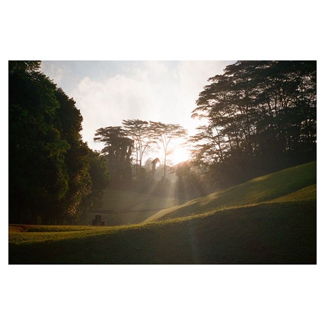 Some mornings, combination of mist and sun rays leads to beautiful sights like this... it&rsquo;s back to work folks | #film used: #lomo800
.
.
.
.
.
.
#35mm #filmisnotdead #filmphotography #analogphotography #film #ishootfilm #analog #35mmfilm #phot