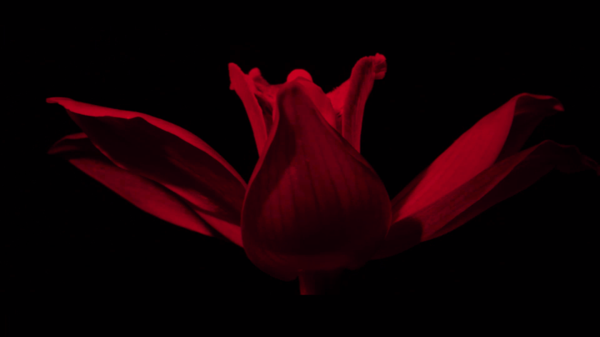 Capture d’écran 2020-09-17 à 11.34.21.png