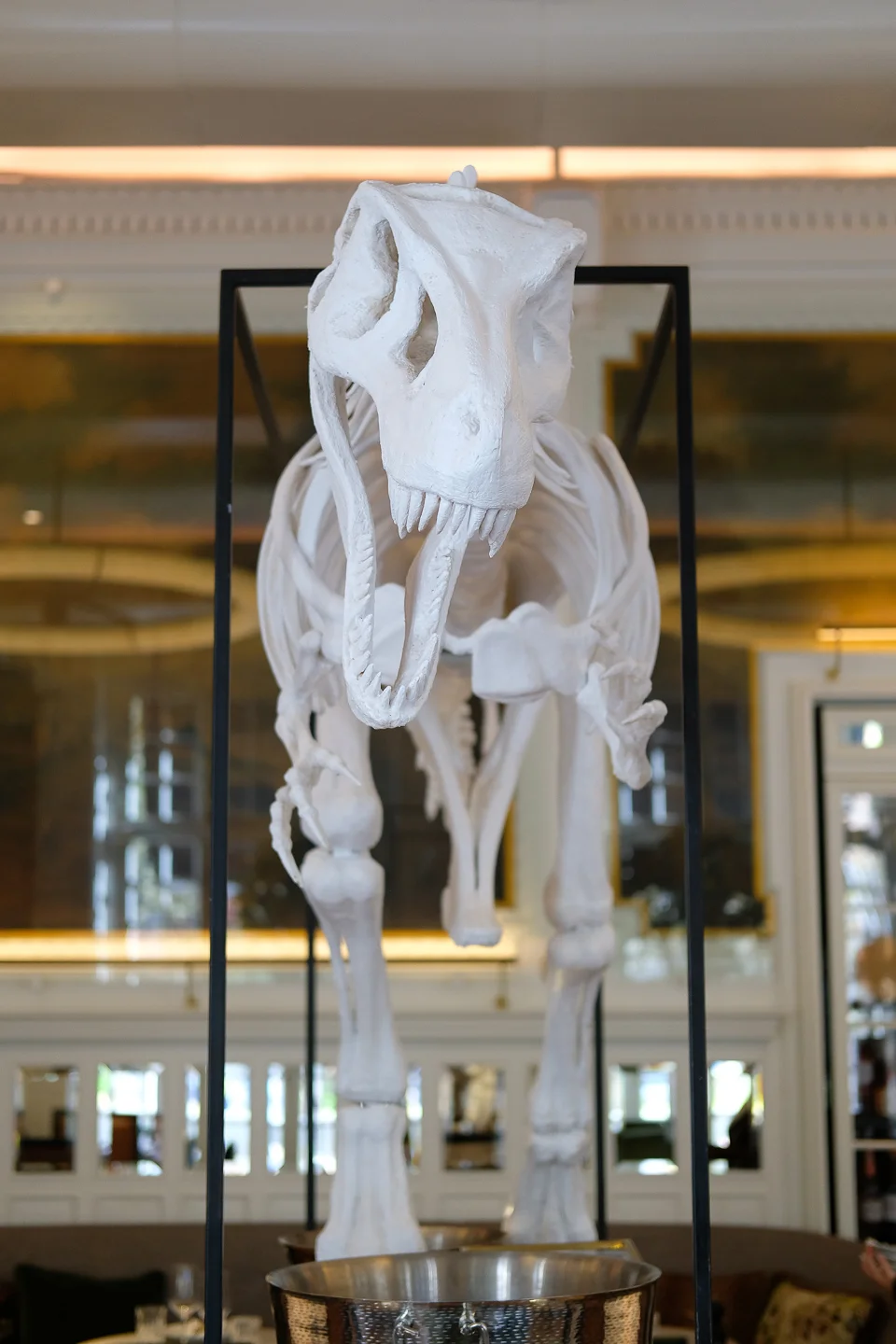 DSCF7326.jpg