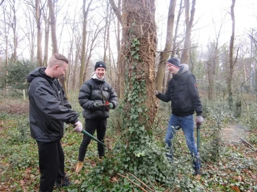 Walton Charity woodlands.jpg