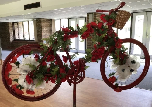 poppy bike walton charity.jpg