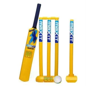 Cricket bat and stumps.jpg