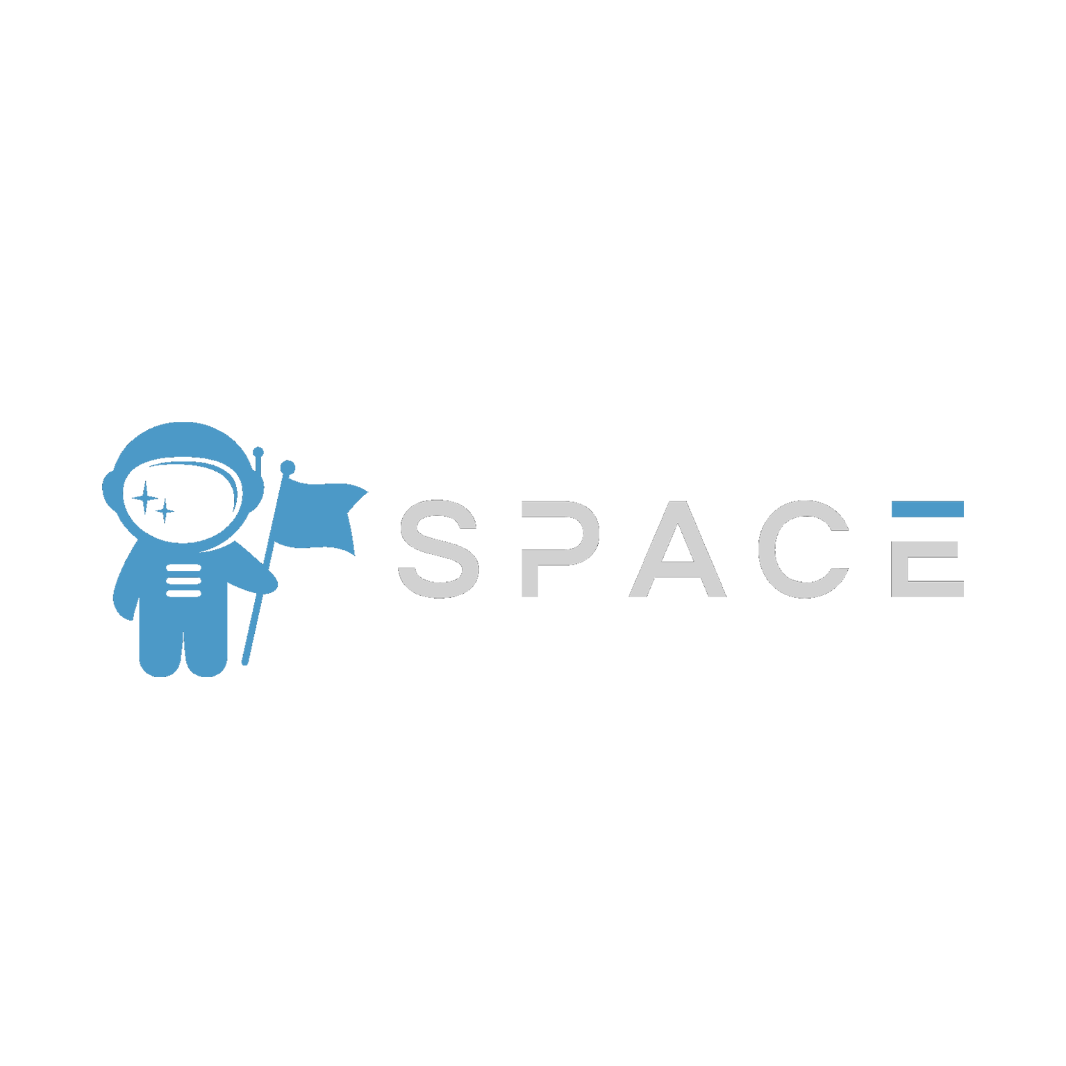 Space Safe logo.png