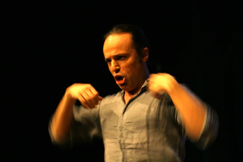 Mapu_4b_V.Ferrario.jpg