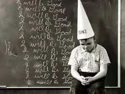 somaro senza scritte.jpg