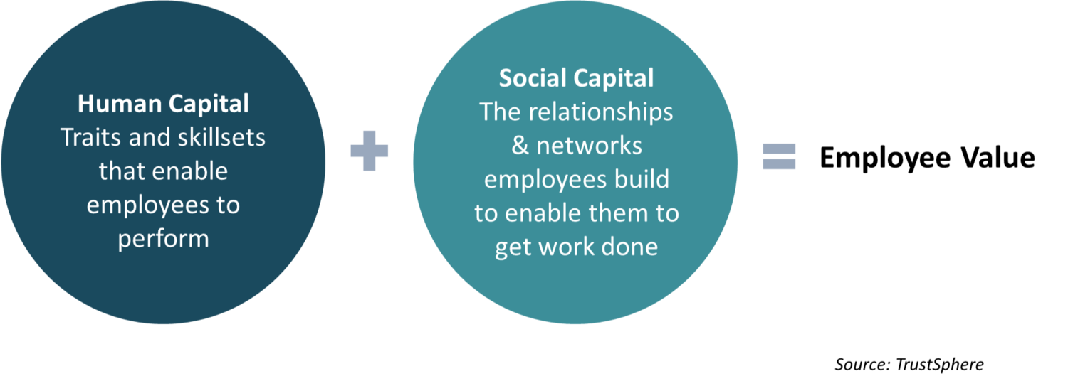 FIG 3:    Employee value is derived from human and social capital (Source: TrustSphere)
