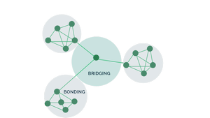 What Is Social Capital and How Do You Measure It? | myHRfuture