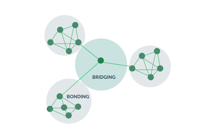 What Is Social Capital and How Do You Measure It? | myHRfuture