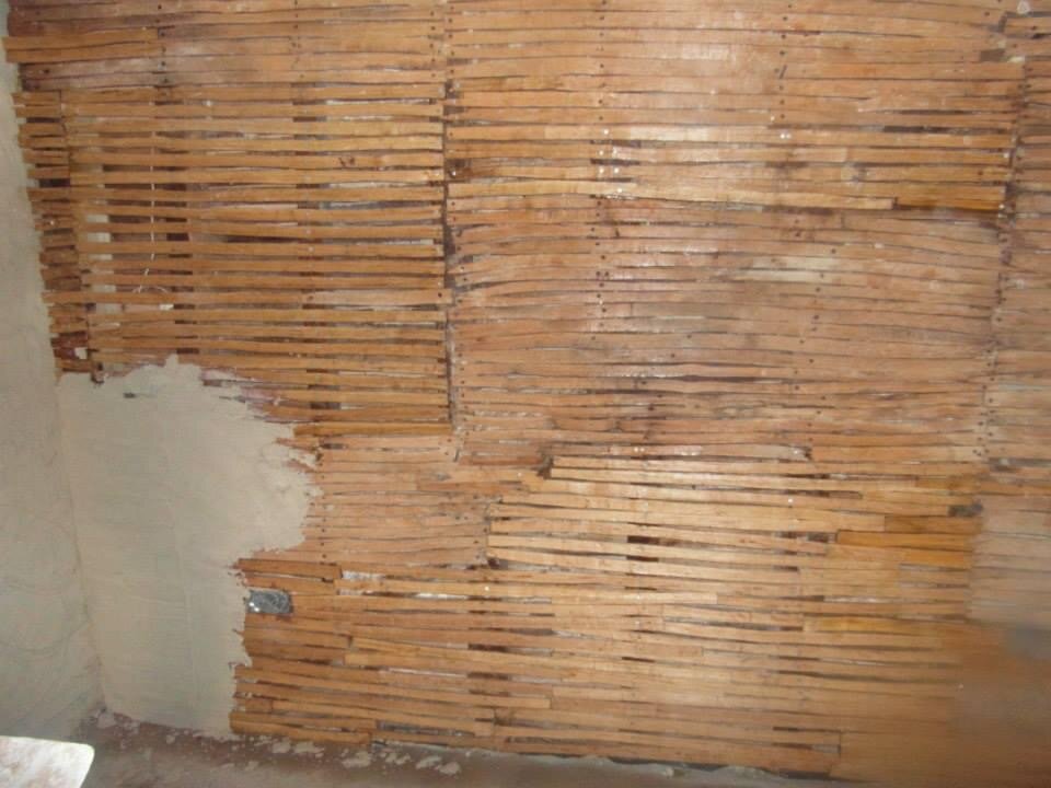 IMG_1206.jpeg