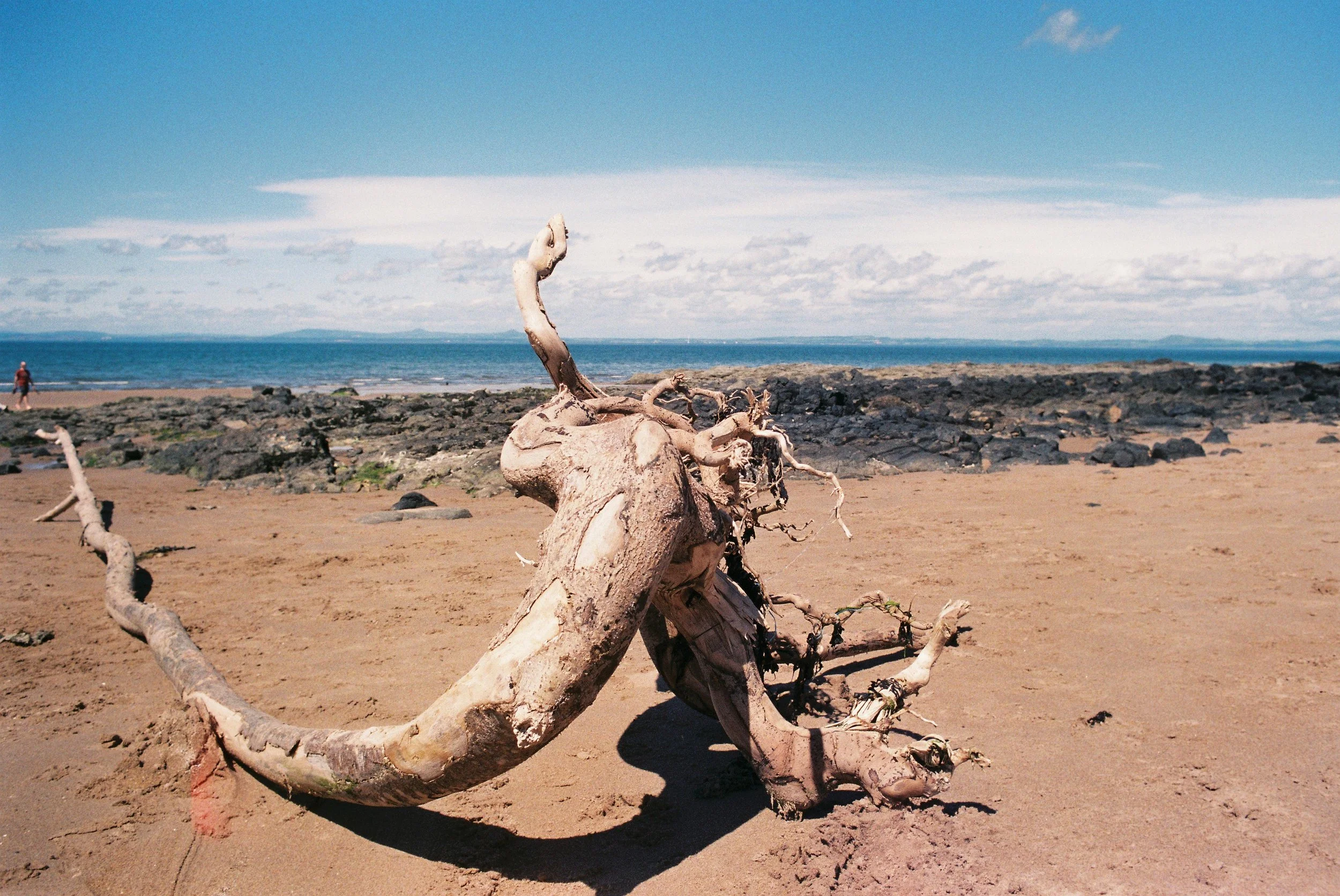 Beach at Gullane - 2021