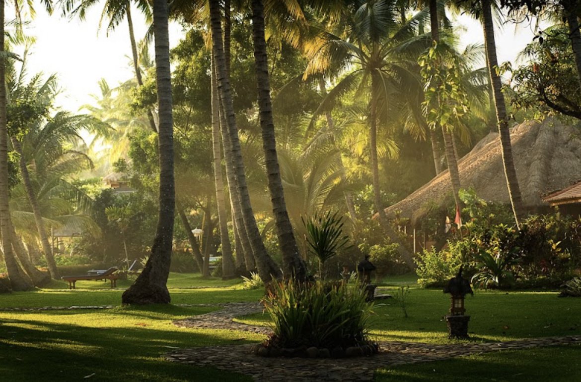 Image of Bali vedic meditation retreat with Georgia Vavasour