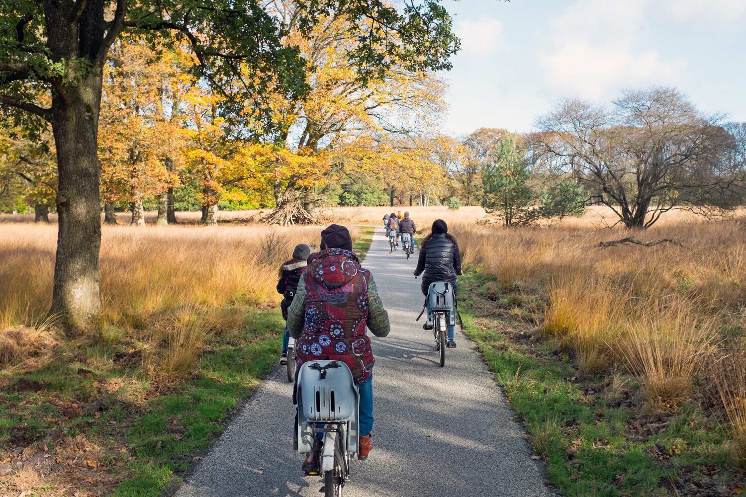 vandfald elleve Skole lærer The Best Cycling Routes in The Netherlands — %