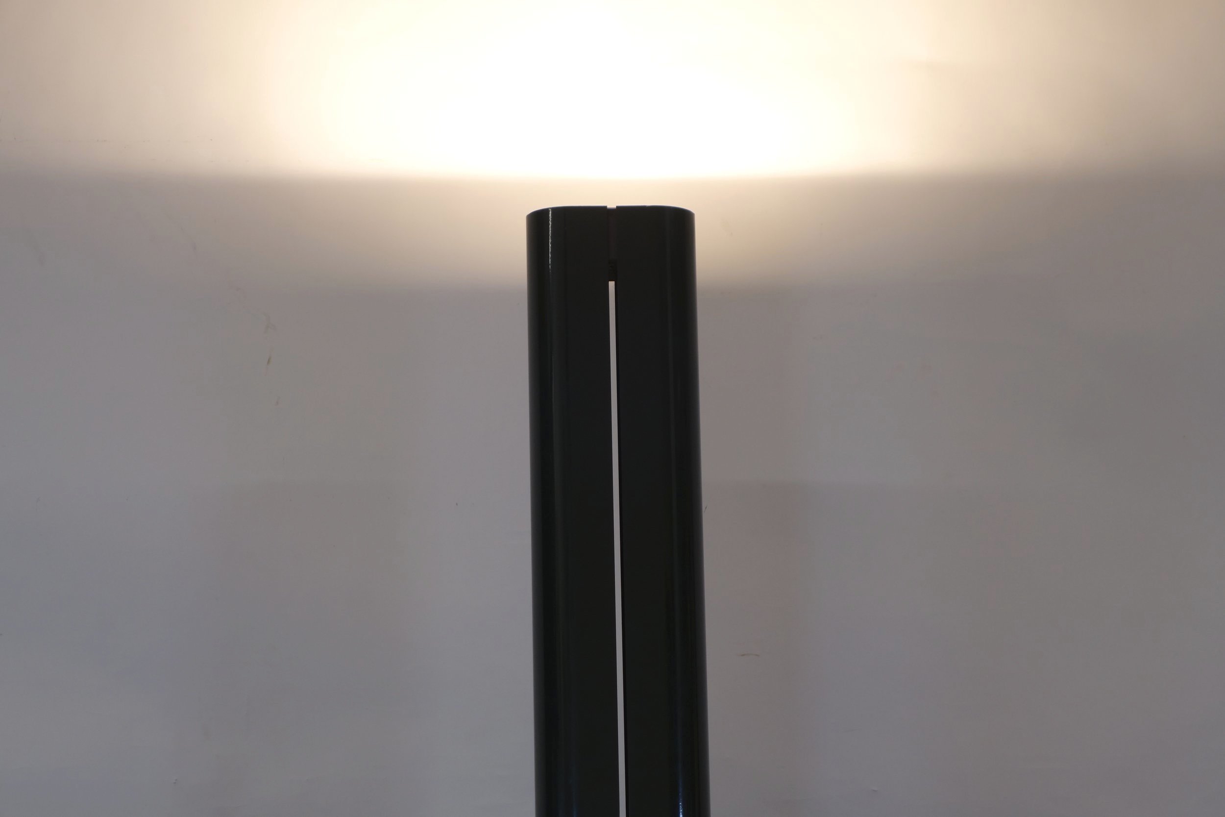 DSC02369.jpg