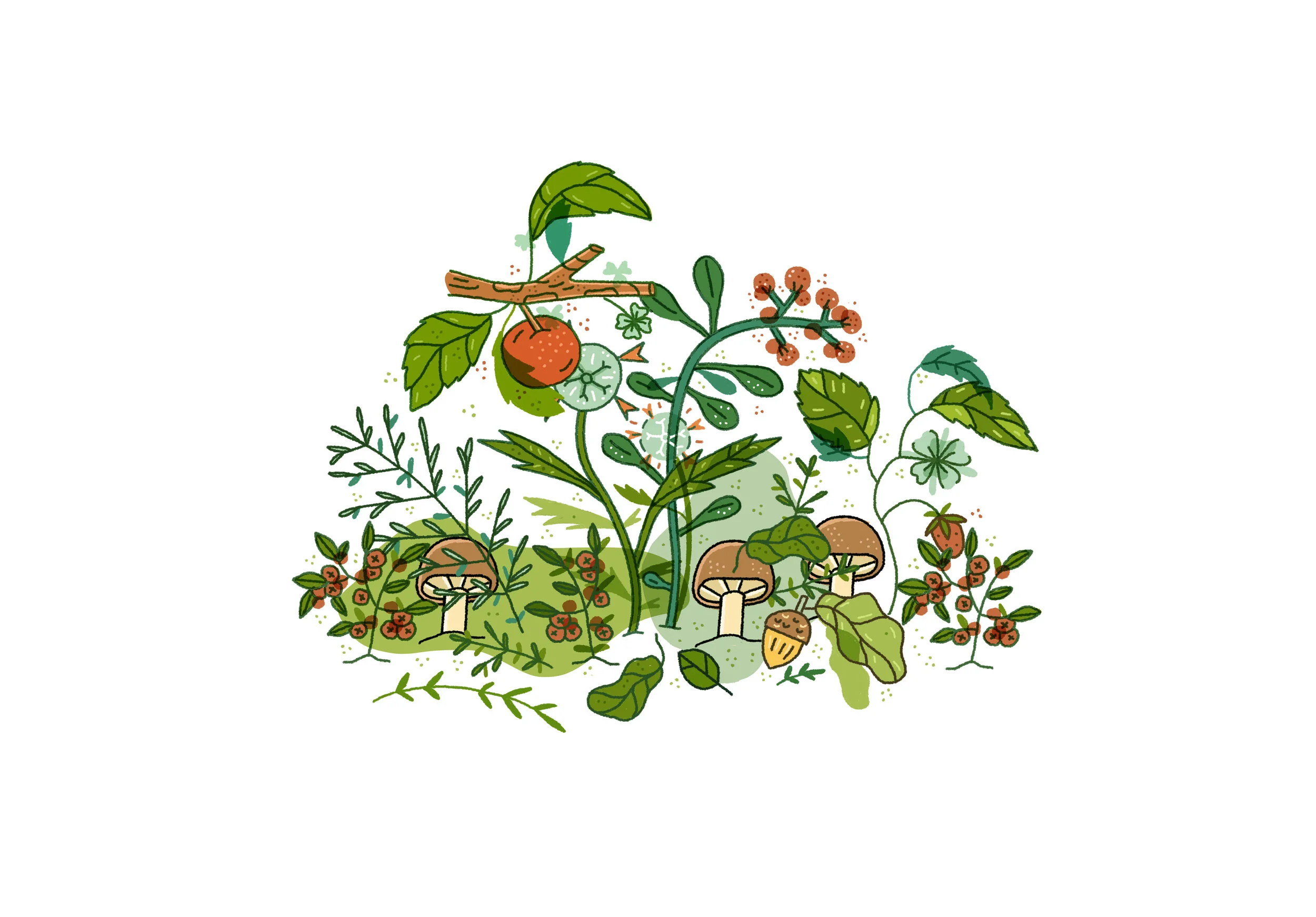 flora_5.jpg