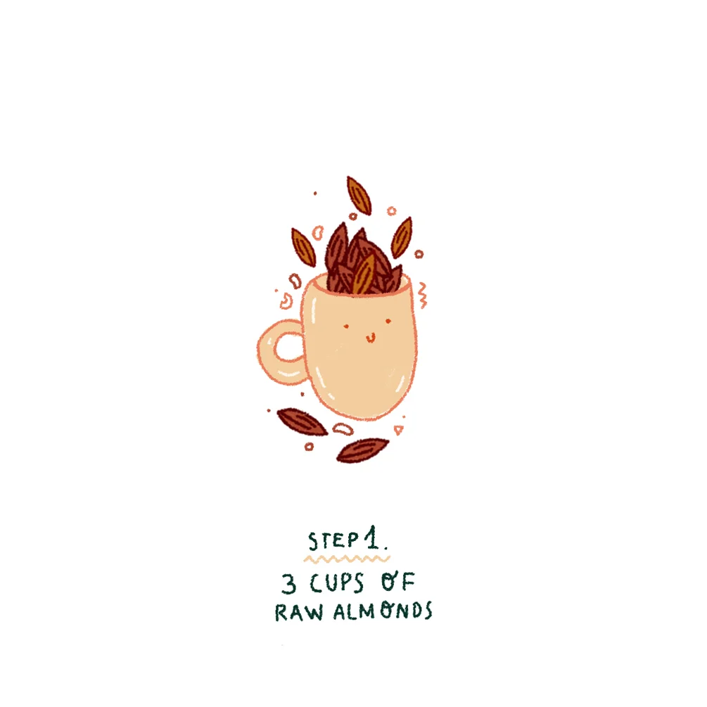 step 1 almond butter recipe illustration copy.jpg
