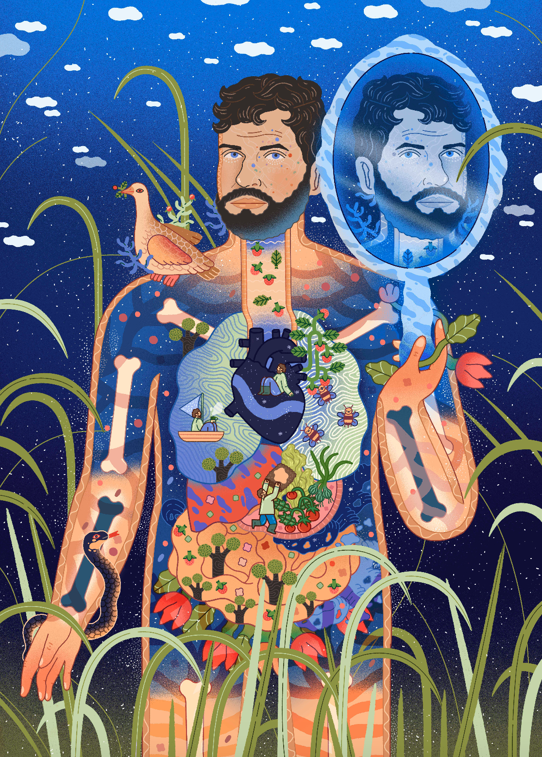 man anatomy xray illustration nature body human.png