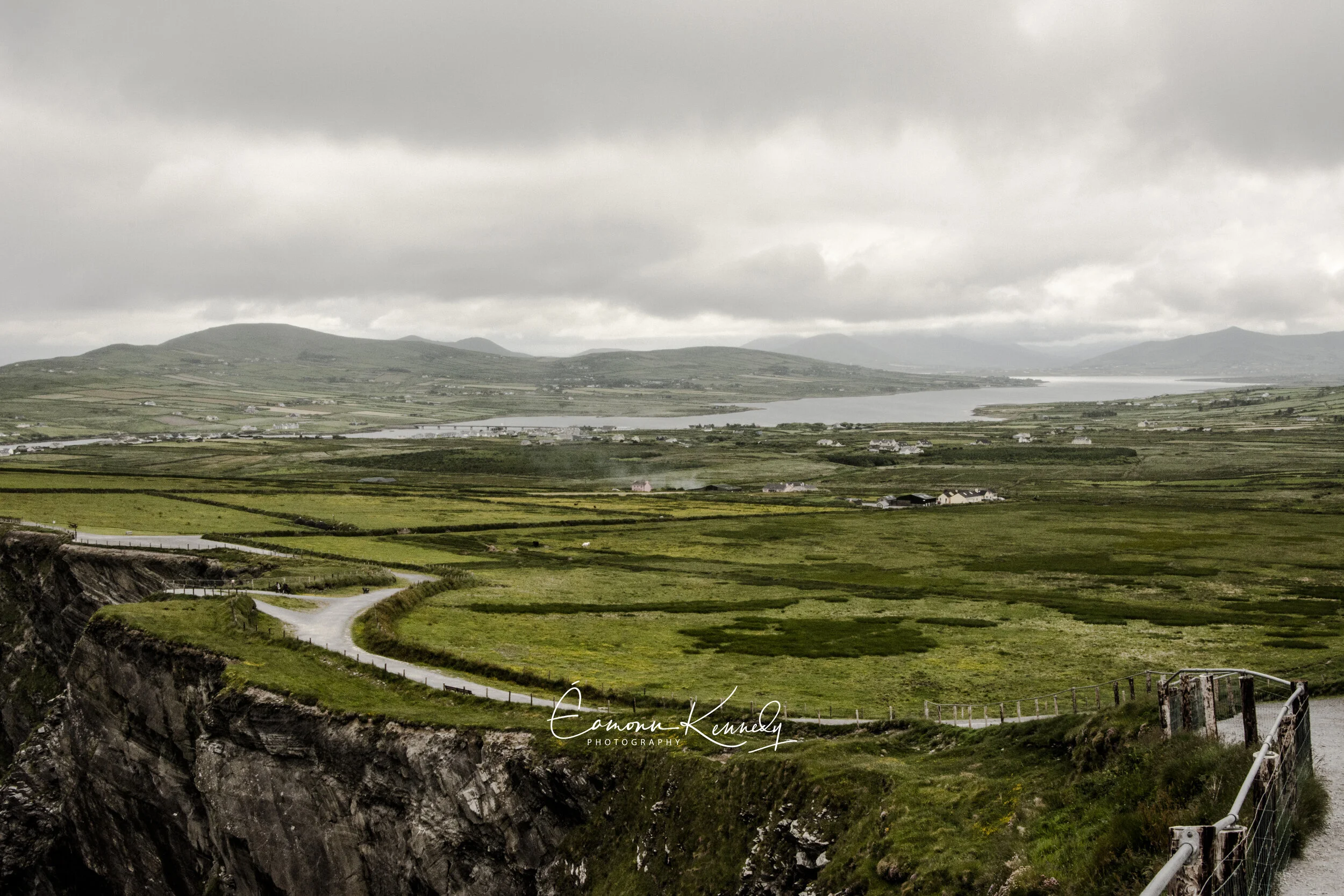 DSC_3442_2.jpg