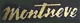 montneve.gif