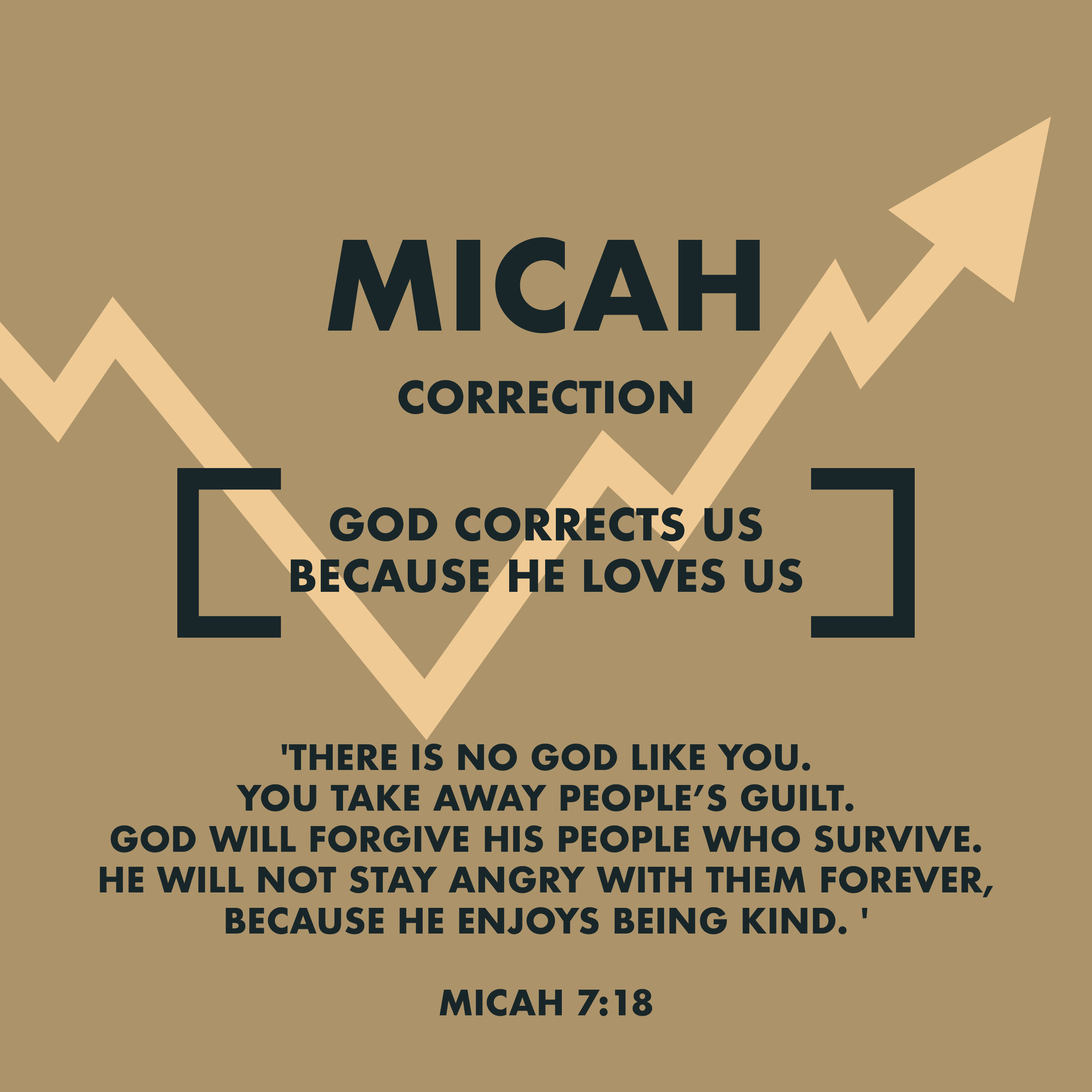 Books of the Bible_posters_31 Micah.png