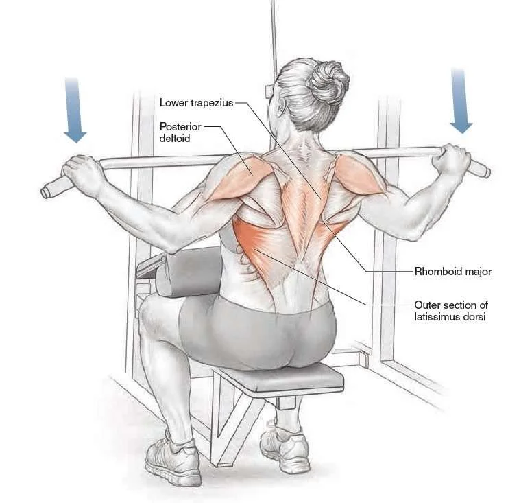 Lat Pulldown Tutorial