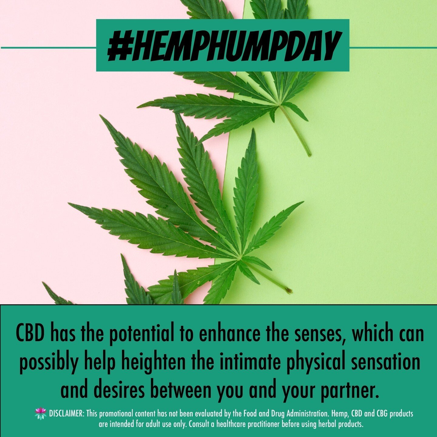 Want to spice things up with that special someone? CBD can potentially enhance the senses, which could heighten the physical sensation between you and your partner. #HempHumpDay