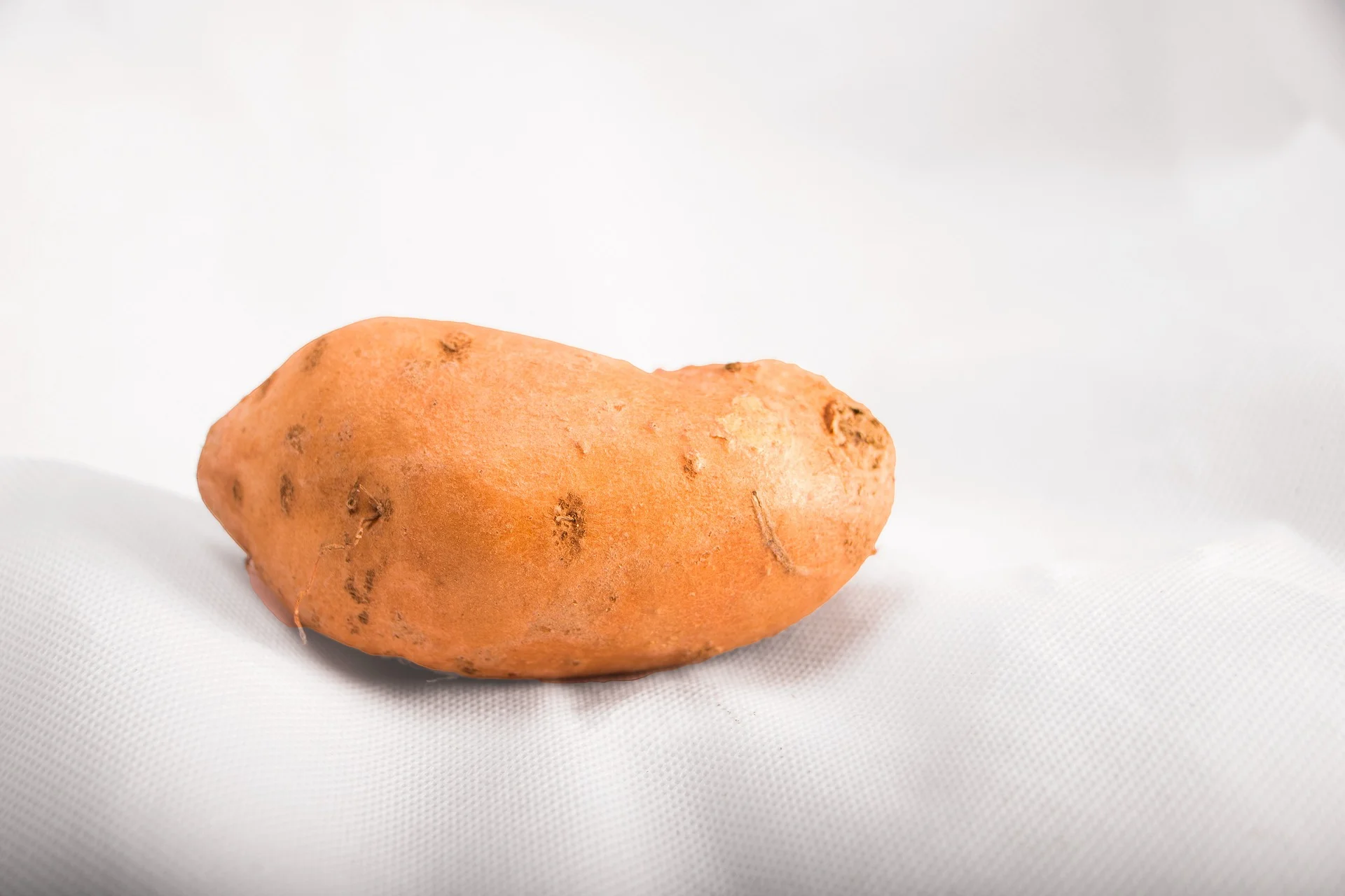 sweet-potatoe-3638883_1920.jpg