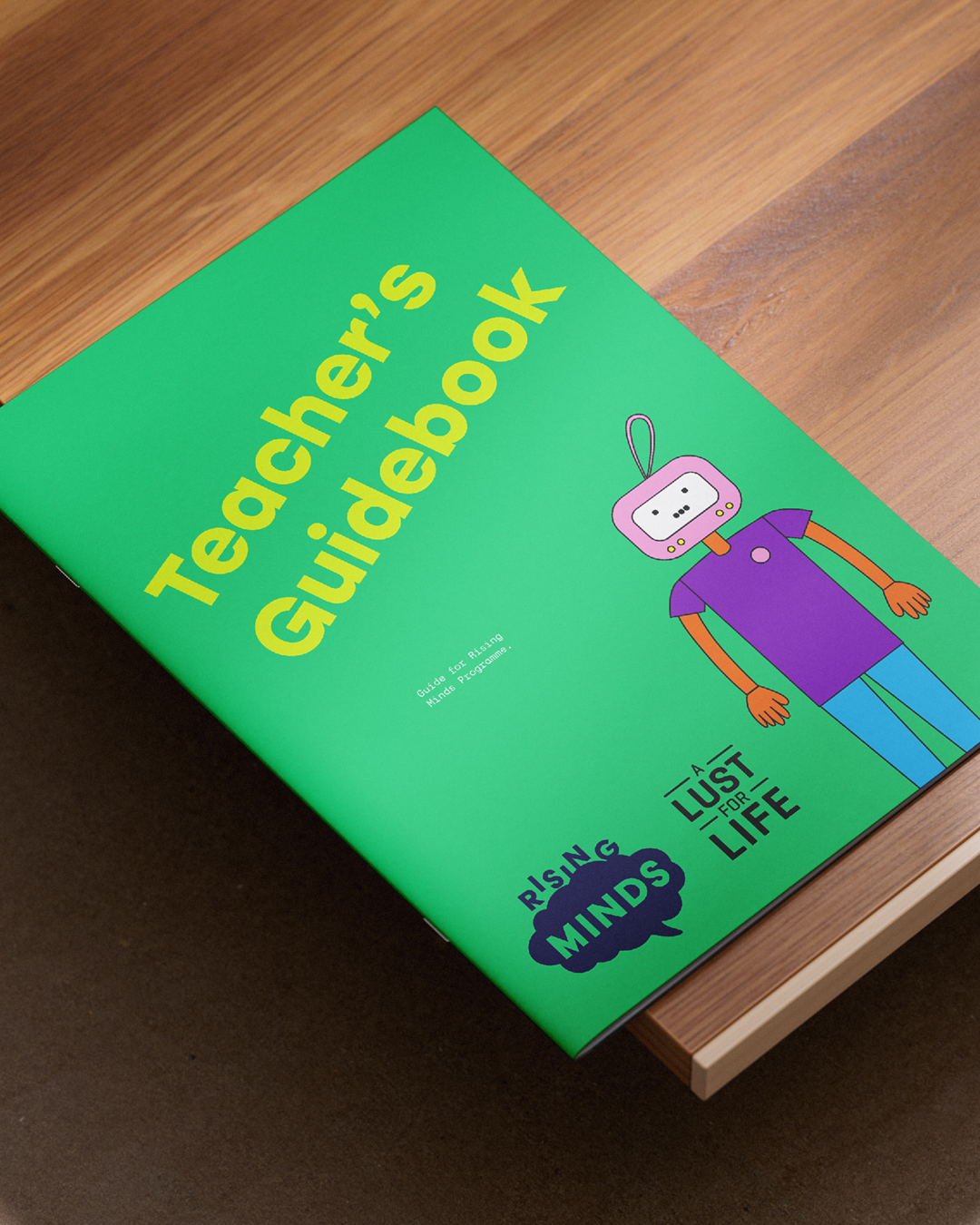 Teachers guidebook