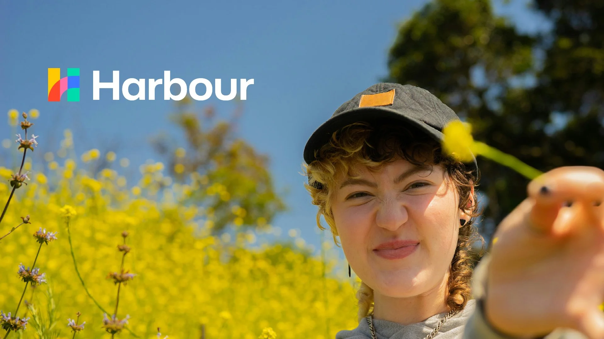 Harbour