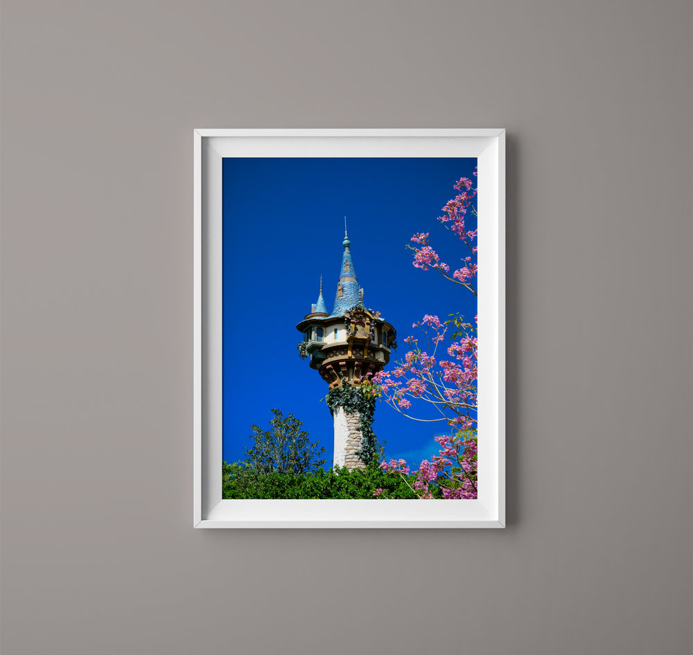 Download Printed Work Msphotografik