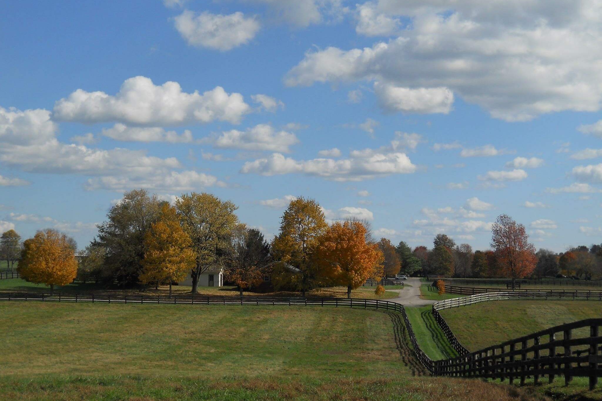 Chesapeake Farm Klimt February 1.jpeg