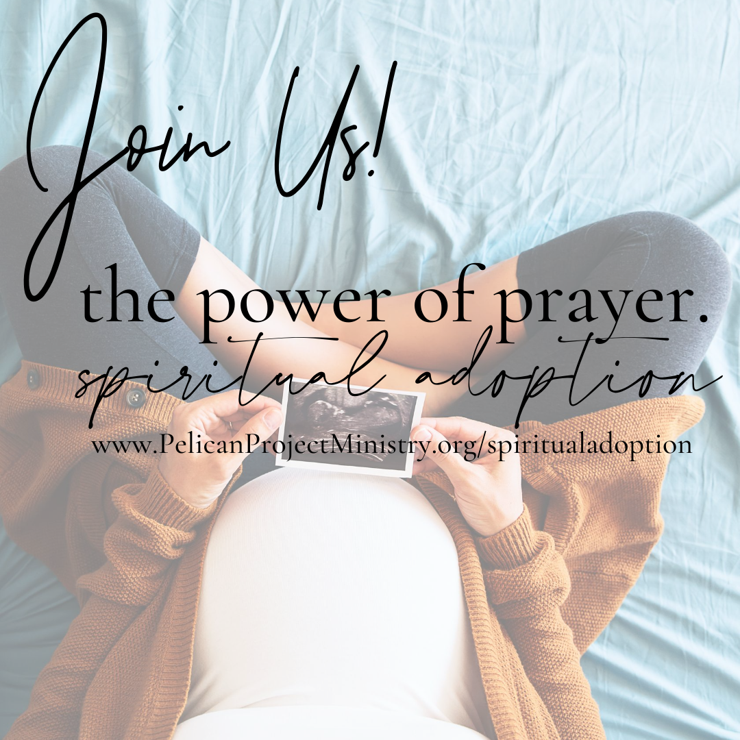 Spiritual Rescue Spiritual Adoption — Pelican Project