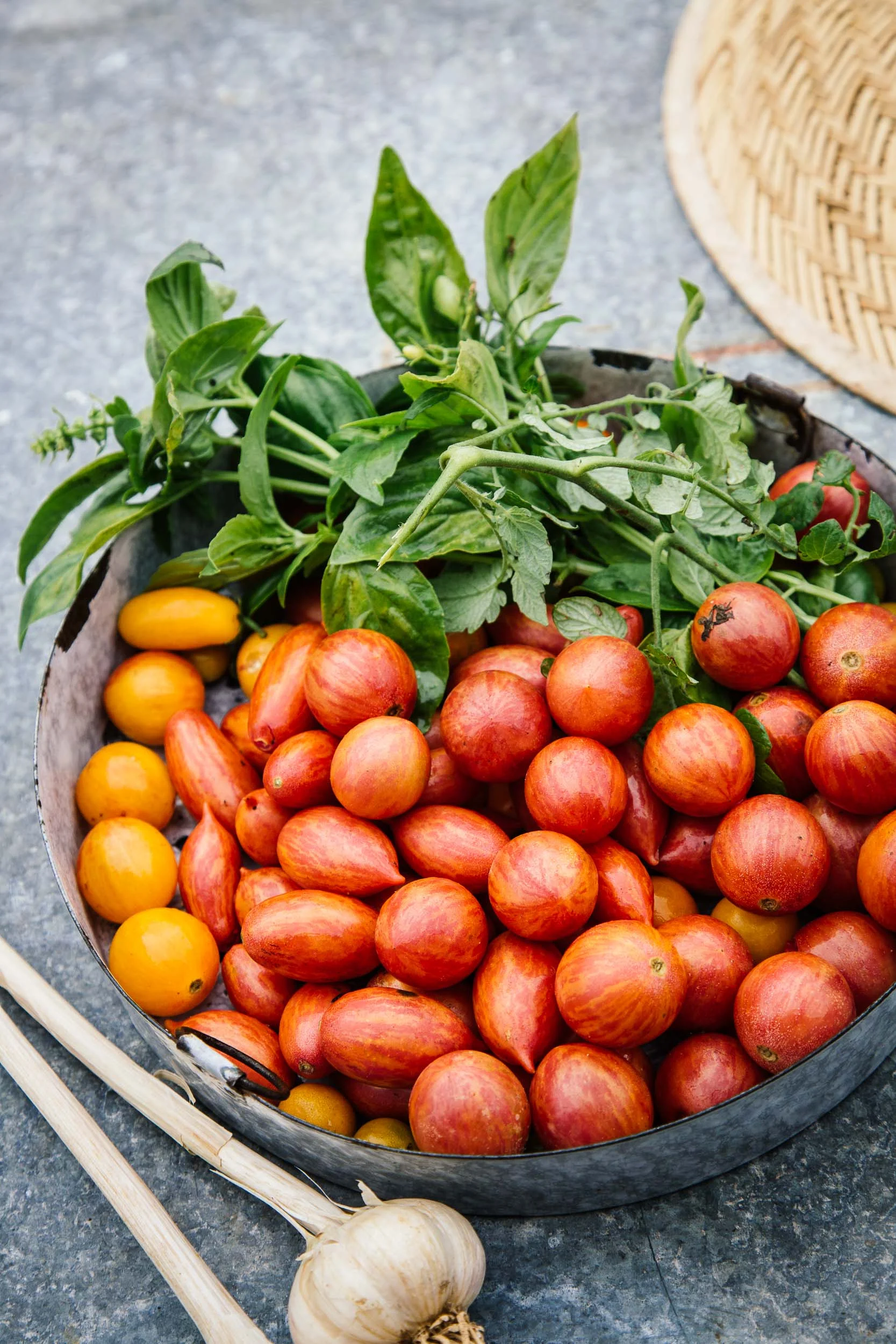 Norman_16030BHG_KitchenGarden_257_web.jpg