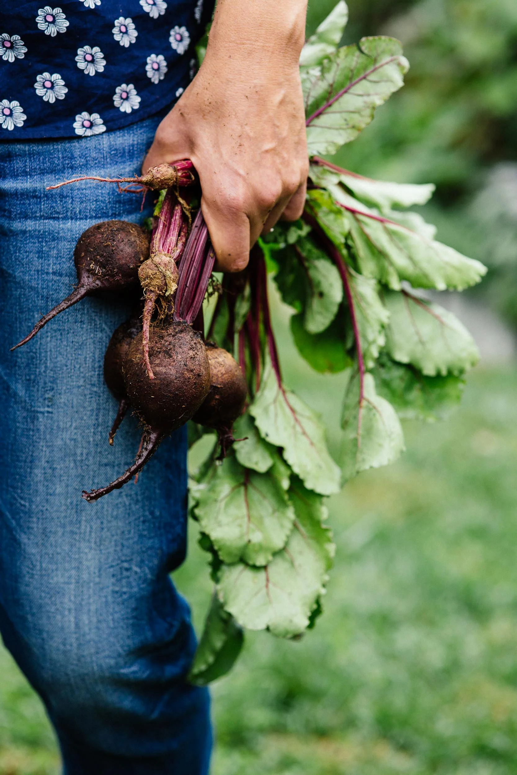 Norman_16030BHG_KitchenGarden_293_web.jpg