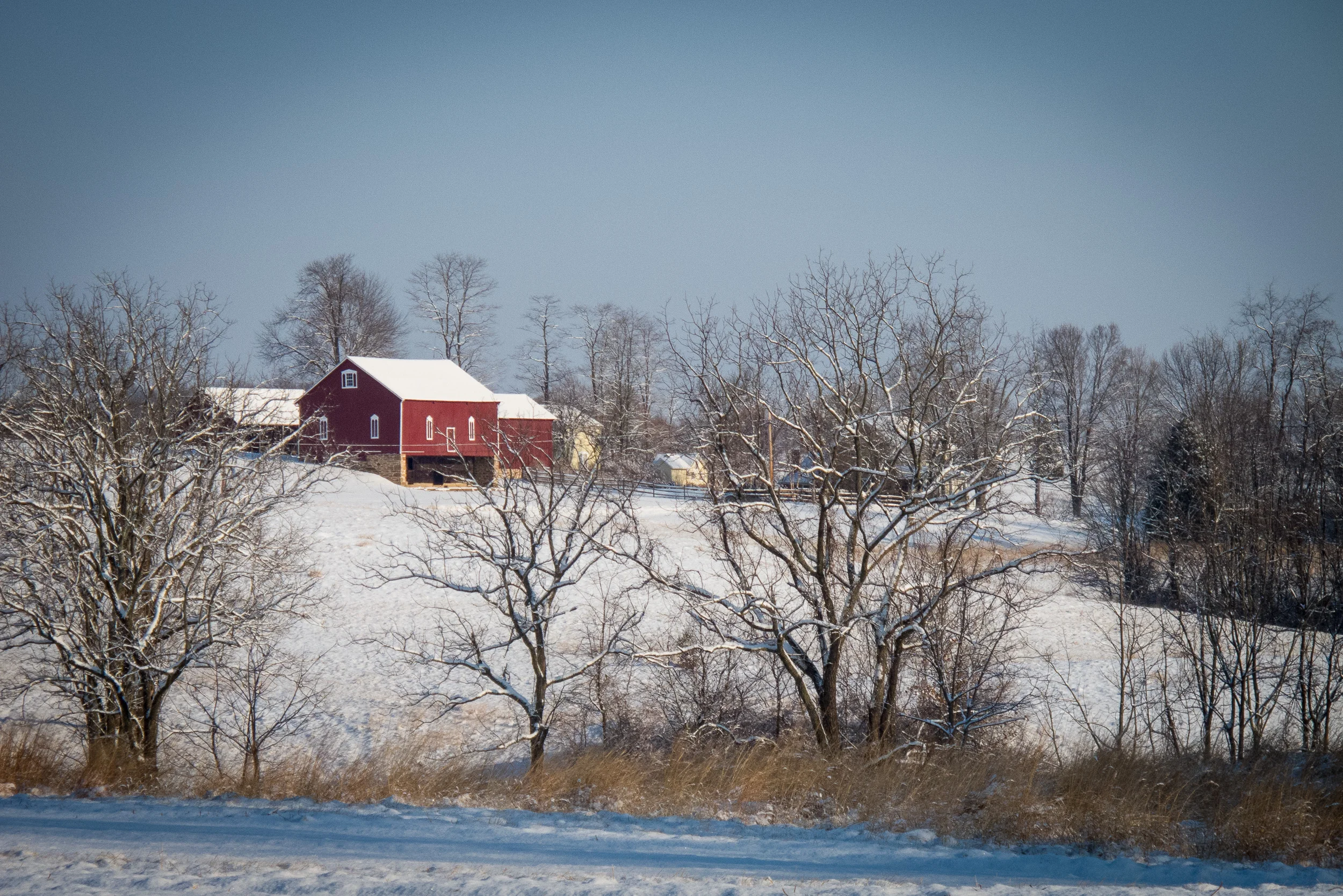 IMG_2006_web.jpg