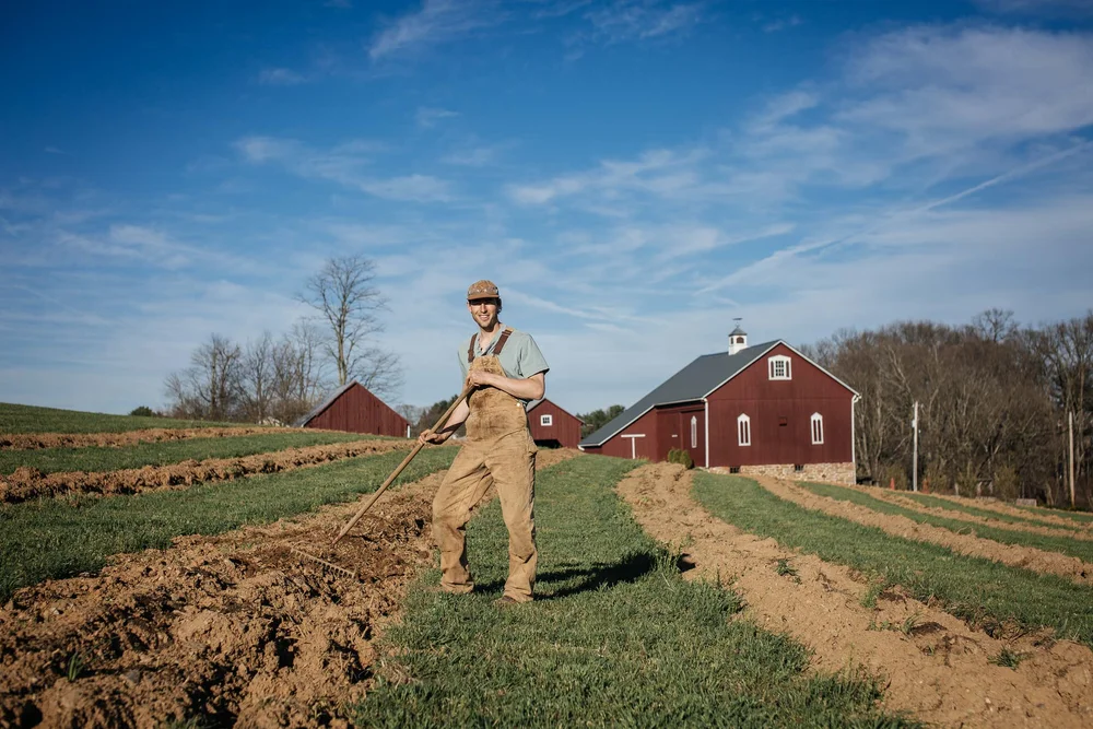 A look back at 2017 — Star Bright Farm