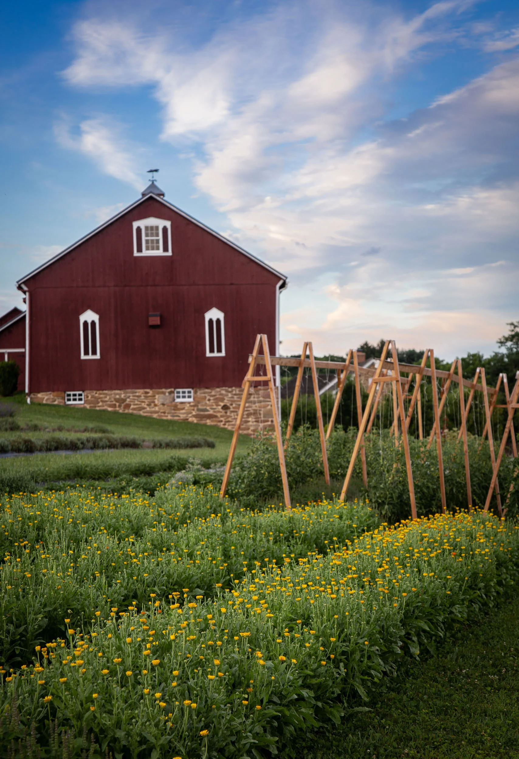 norman_18_07_lavharvest_010_web.jpg