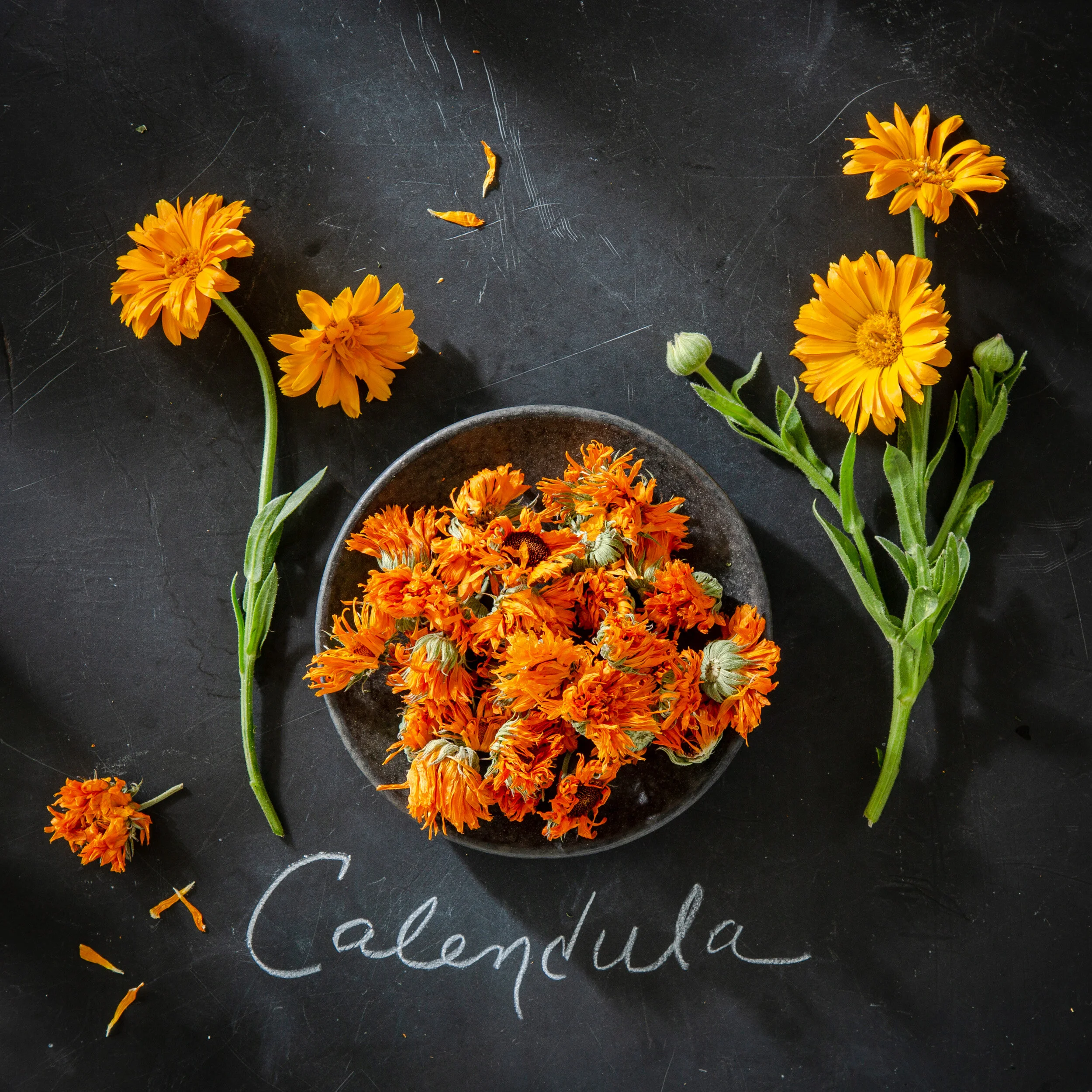 Dried Calendula Dried Calendula
