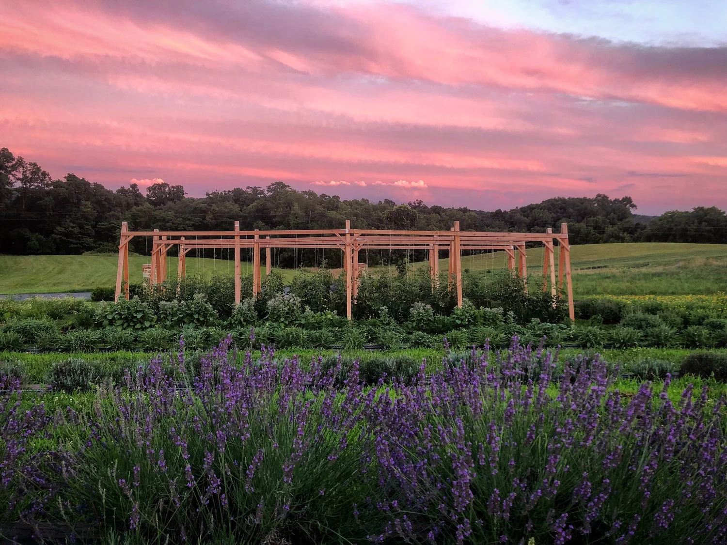Star Bright Farm