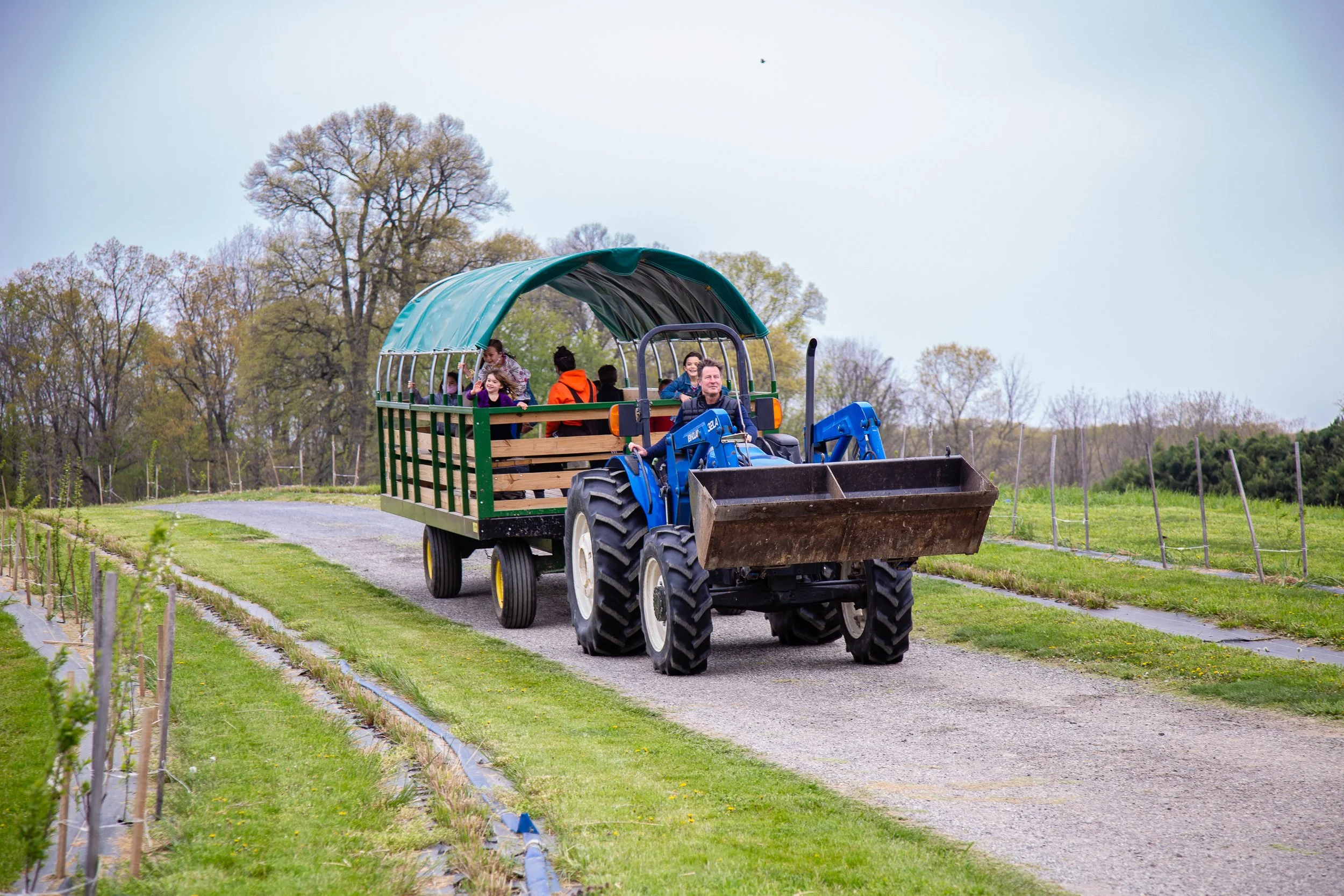 teactor ride_web_.JPG