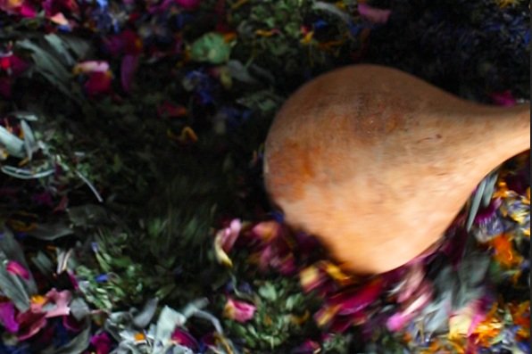 March 22 Herbal Tea Blending Workshop