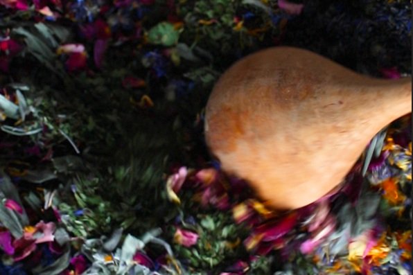 MARCH 22: Herbal Tea Blending Workshop