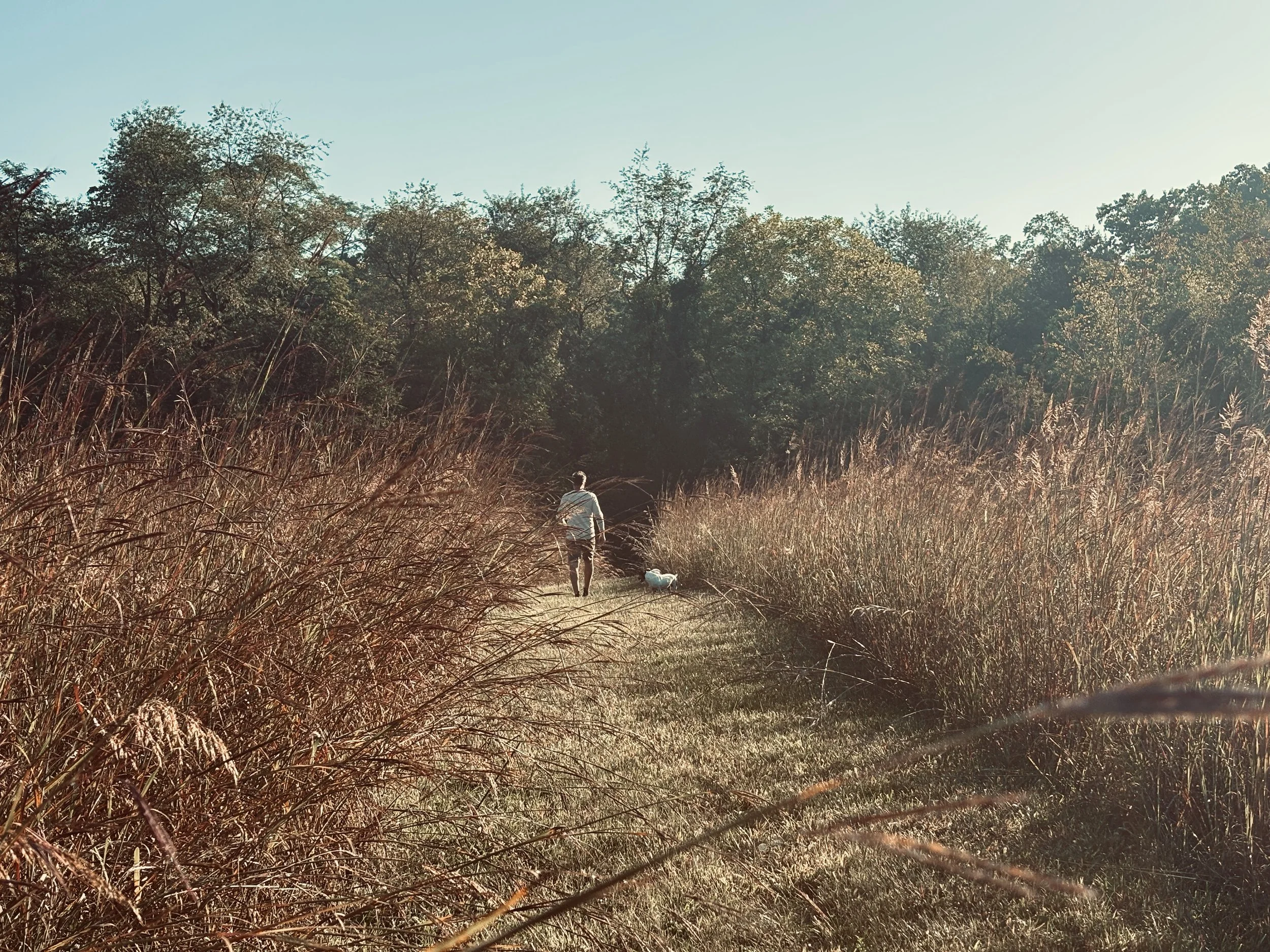 Fall Walk_2.jpg