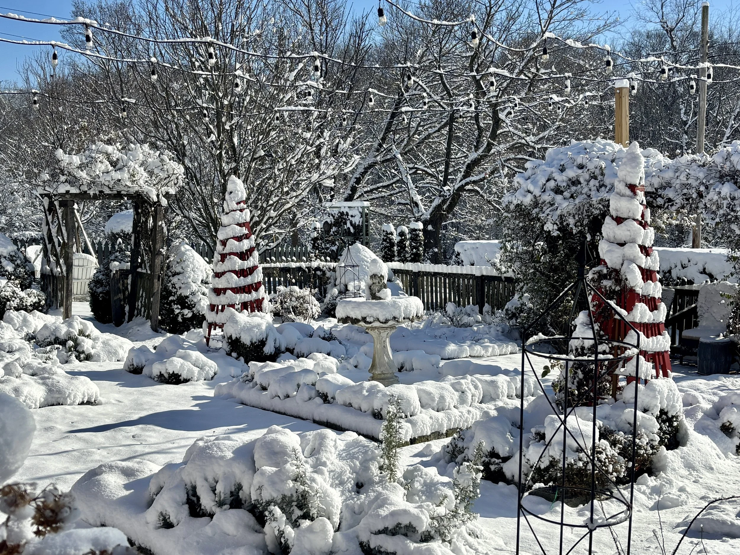 Snow2025_3_3.jpg