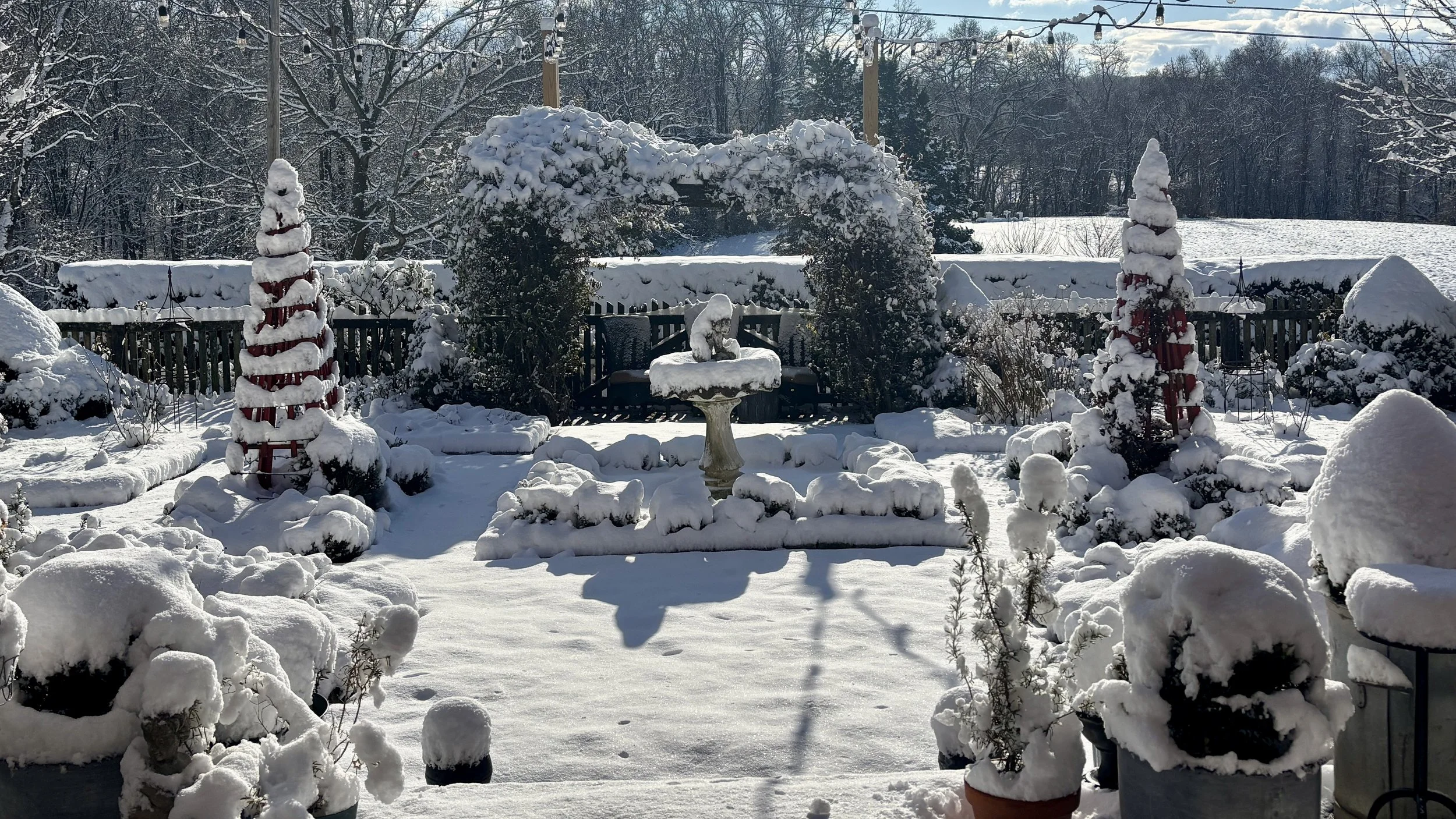 Snow2025_7.jpg