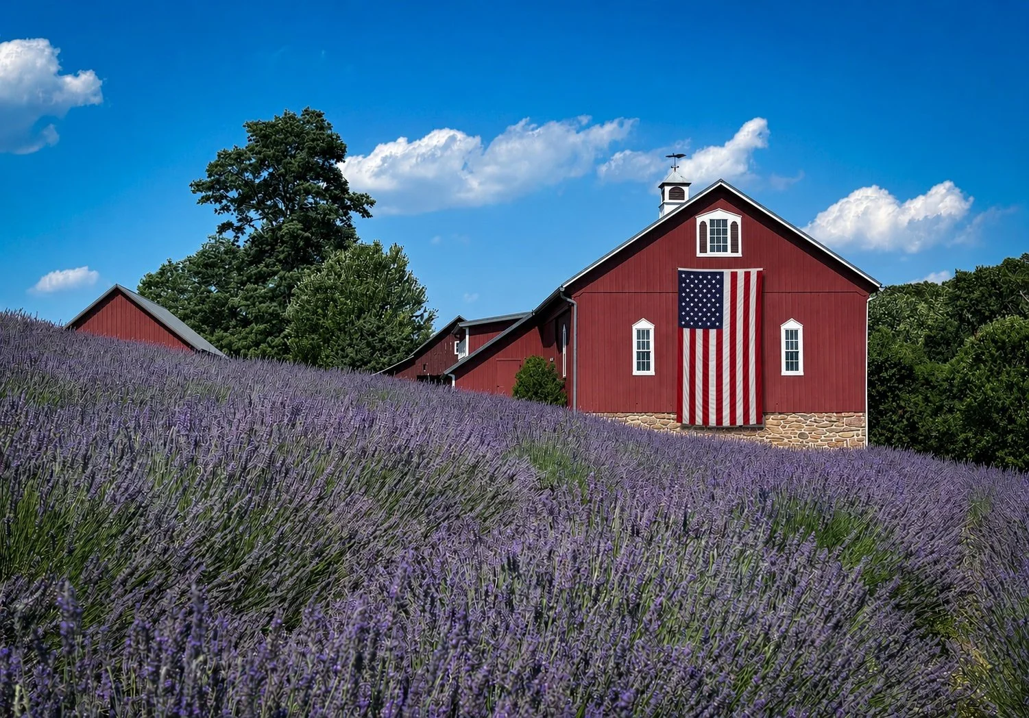 Star_Bright_Farm_Flag.jpeg