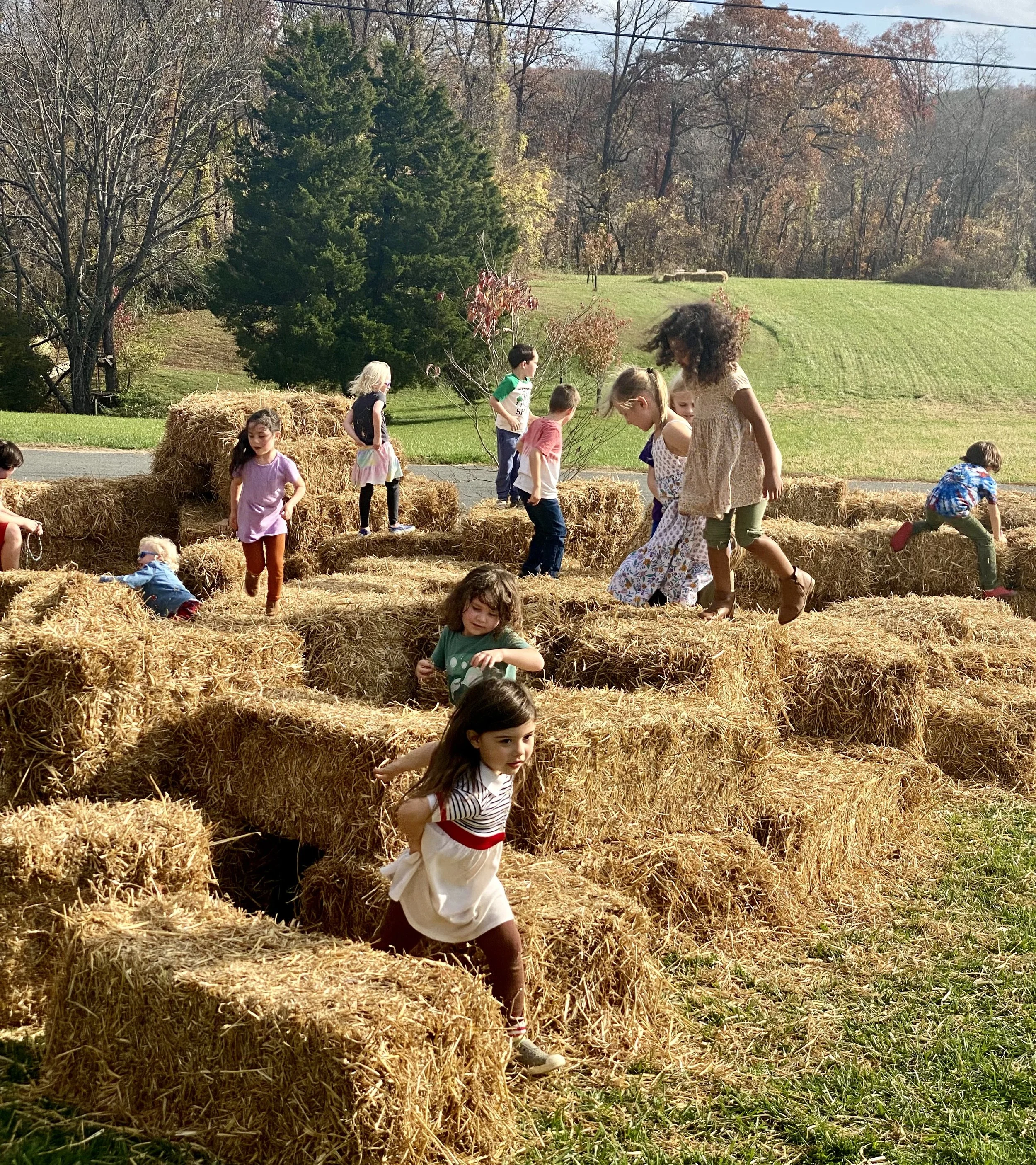 Kids on Straw.jpg