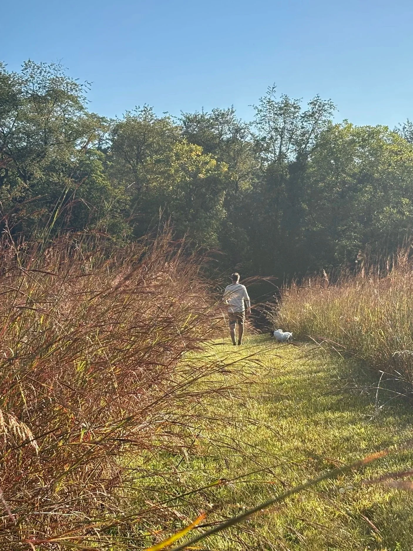 Fall+Walk_3.jpg