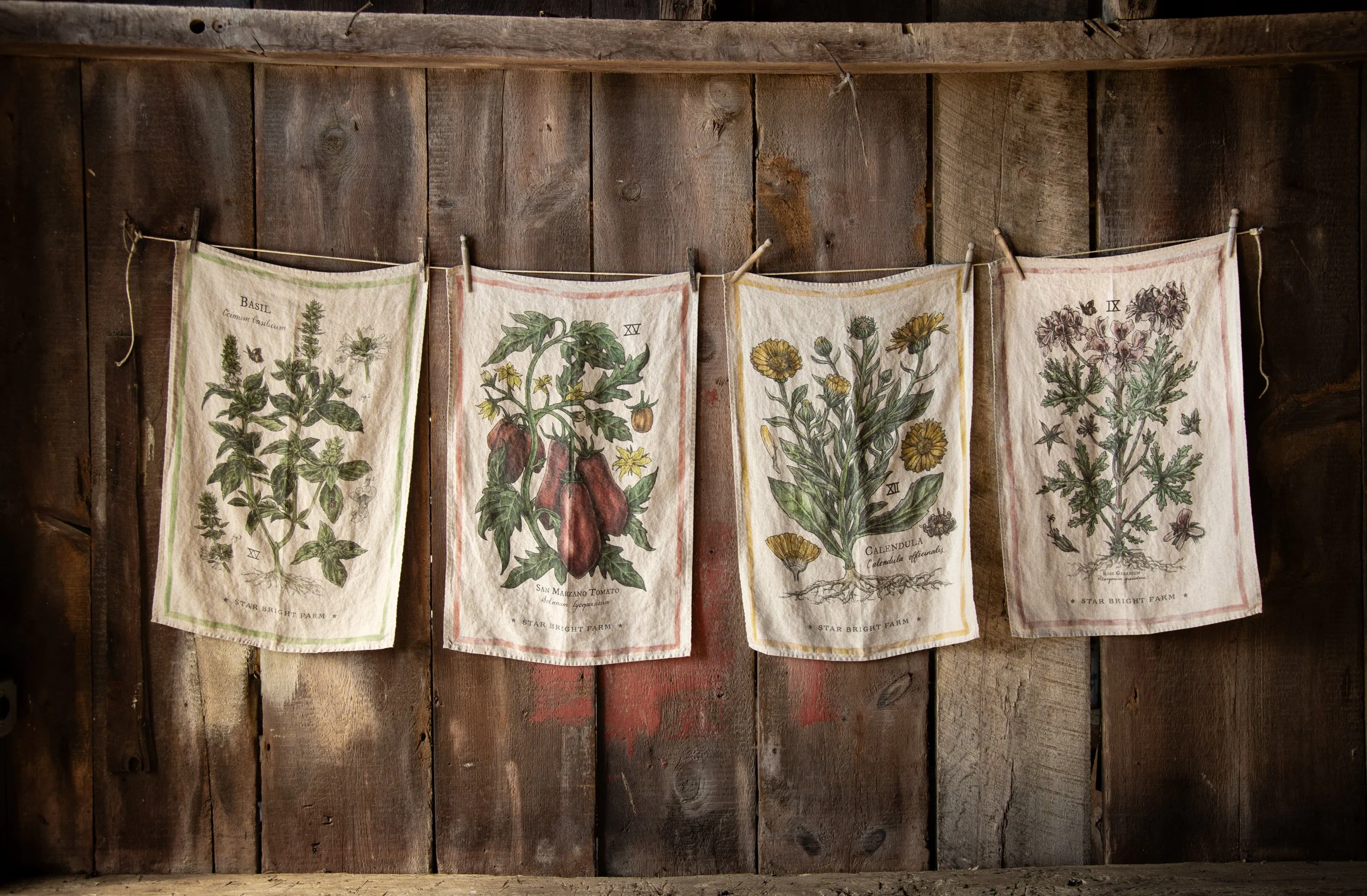 100% linen Kitchen Towels : Herb Collection
